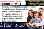 INSURANCE ● SEGUROS en CA thumbnail