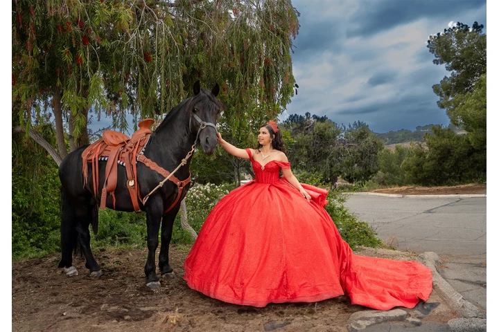 BODAS Y QUINCEAÑERAS image 1