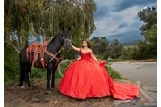 BODAS Y QUINCEAÑERAS