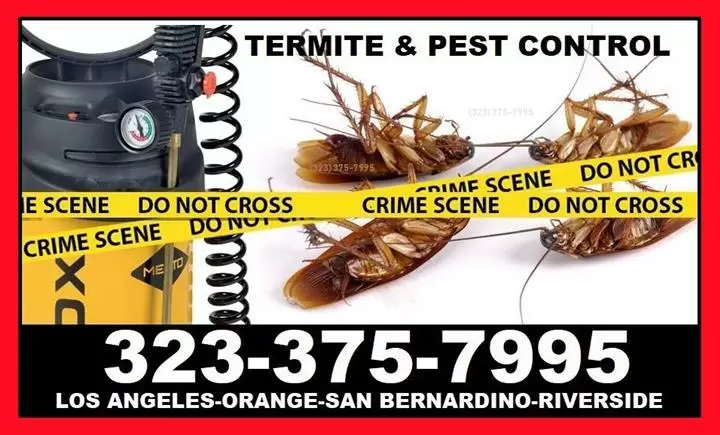 PEST TERMITE CONTROL image 3