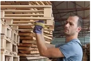Reparador de Pallets en Tampa