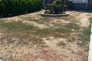 Junk clean ups, landscaping en San Bernardino