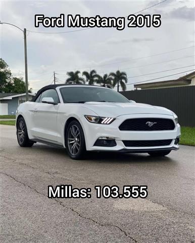 Ford Mustang image 1