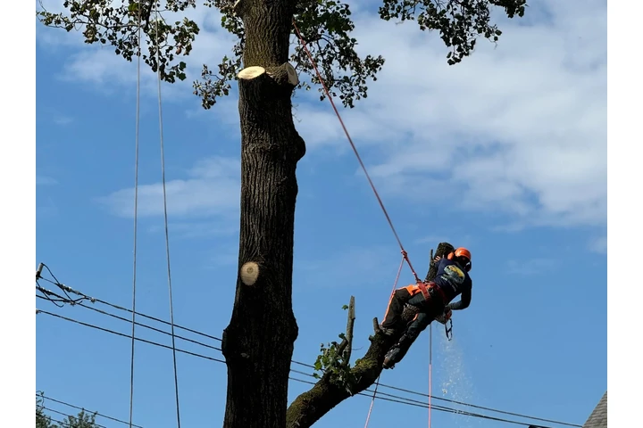 Drainage Solutions in Cortland image 5