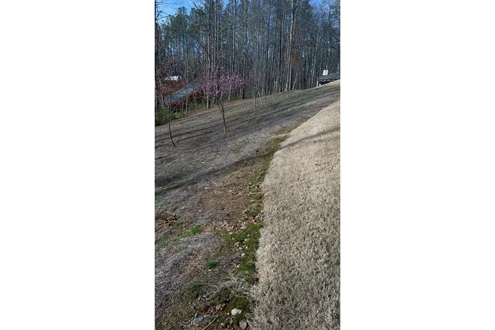 🌲MATIAS LAWN SERVICES🌲 image 8