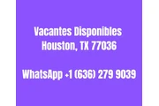 Vacantes Disponibles en Houston