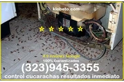 FUMIGATION SHEDULE INSPECTION en Los Angeles