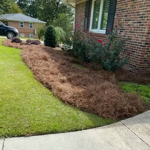 Montano's Landscaping image 2