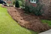 Montano's Landscaping thumbnail 2