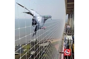 Bird net installation en Indianapolis