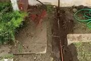 Prime Plumbing Services thumbnail 4