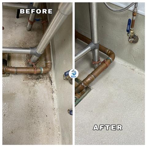 Steam Master Deeper cleaning image 9