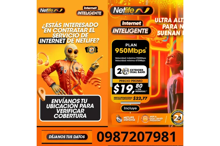 NETLIFE 0987207981 image 2