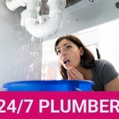 SALVA TU DINERO PLUMBER OC#1 image 1