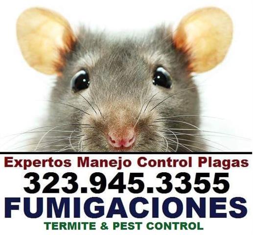 RODENT CONTROL (323)945-3355 image 2