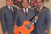 Contratacion de Trio Musical en Mexico DF