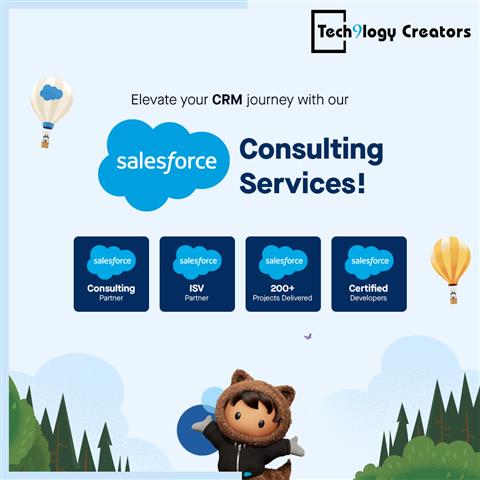 Salesforce Development Company image 1