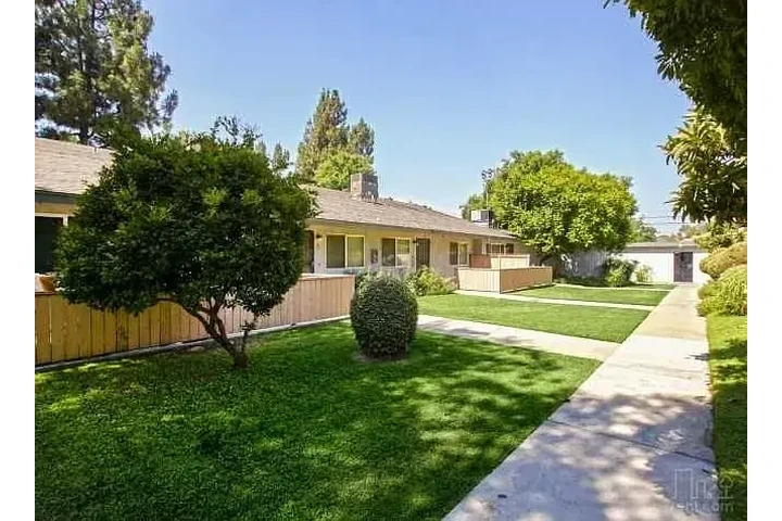 $2000 : Simply spontaneous image 1