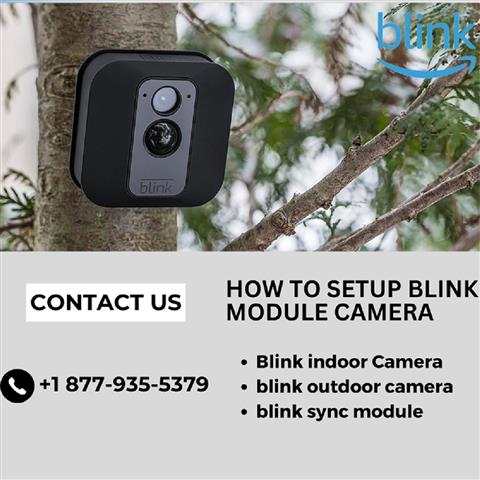 Setup Blink Module Camera image 1