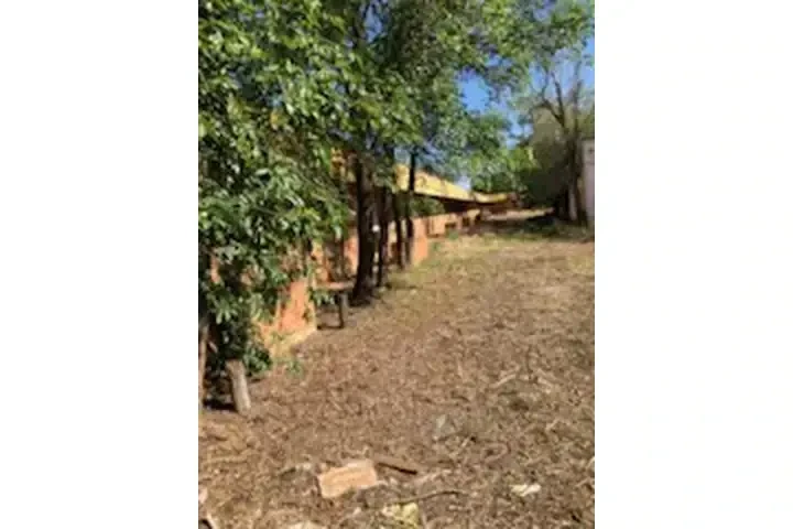 EN TEXAS/ Remate de unidades image 6