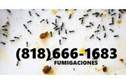 FUMIGACIONES PLAGAS Y TERMITAS en Los Angeles