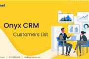 Onyx CRM Users List