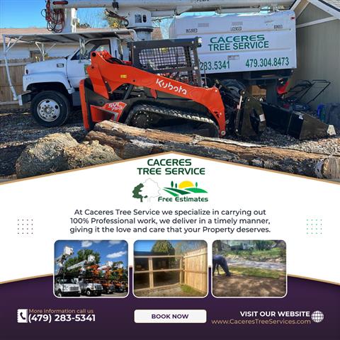 Caceres Tree Service image 9