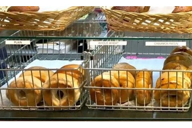 Be-Bop Bagel en Long Island