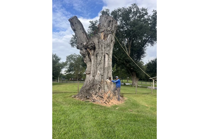 Solution Tree Services LLC image 6
