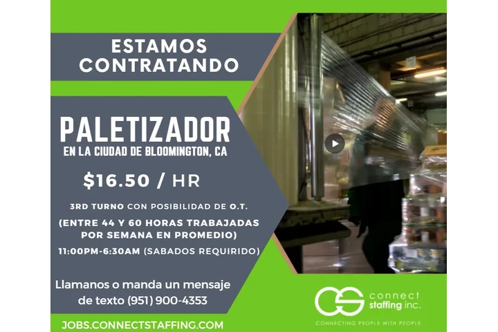 Paletizador (Palletizer) image 1