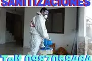 FUMIGACIONES TELEF 0987058464 en Quito