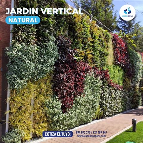 Jardín Jardín vertical Jadín v image 4