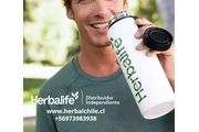 Herbalife es el mejor aliado e en Santiago