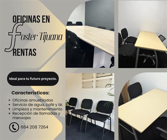 $4000 : OFICINAS EN RENTA image 1