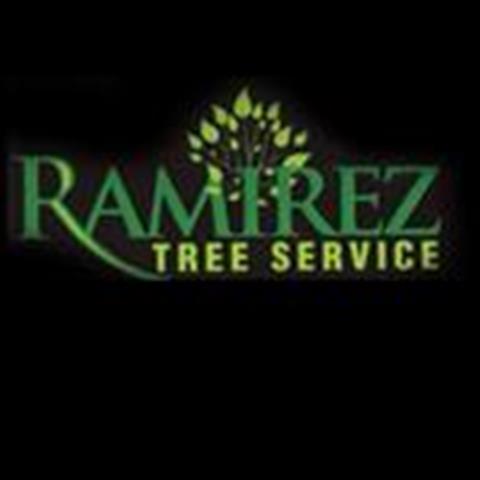 Ramirez Tree Service image 1