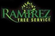Ramirez Tree Service en San Bernardino