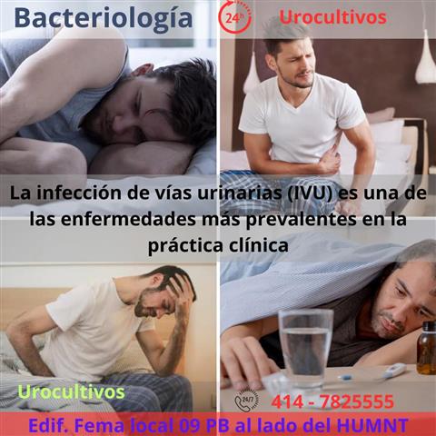 Bacteriología image 1
