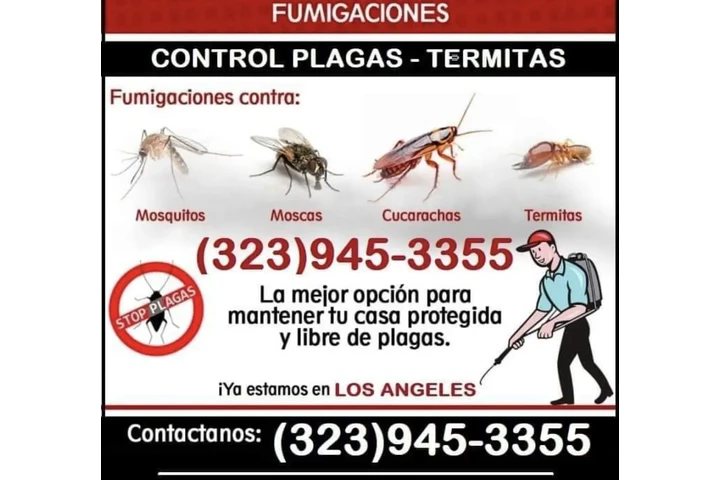 FUMIGACIONES CLASIFICADOS # 1. image 2