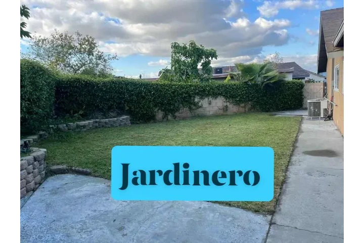 Corte de pasto a domicilio image 7