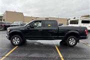 $23749 : Pre-Owned 2016 F-150 XLT thumbnail