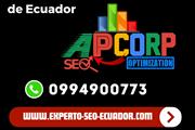 Experto SEO Ecuador Agencia thumbnail