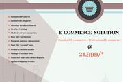 Dsourc Web Development Company thumbnail 1