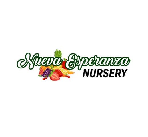 Nueva Esperanza Nursery image 5