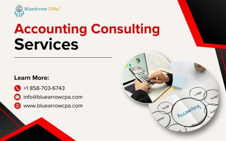 Accounting consulting services image 1