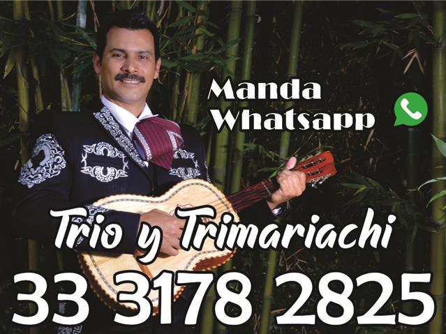 Trío Y Trimariachi Romance image 2