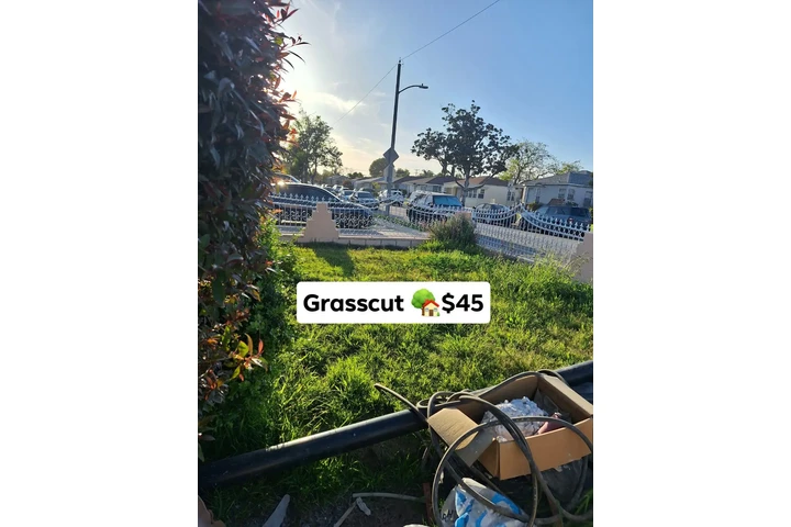 $45 Corte de Pasto $50 image 5