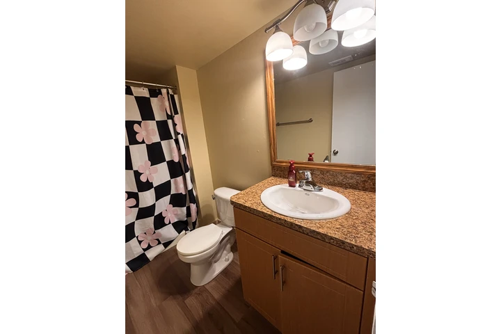 $1000 : Room for rent image 3