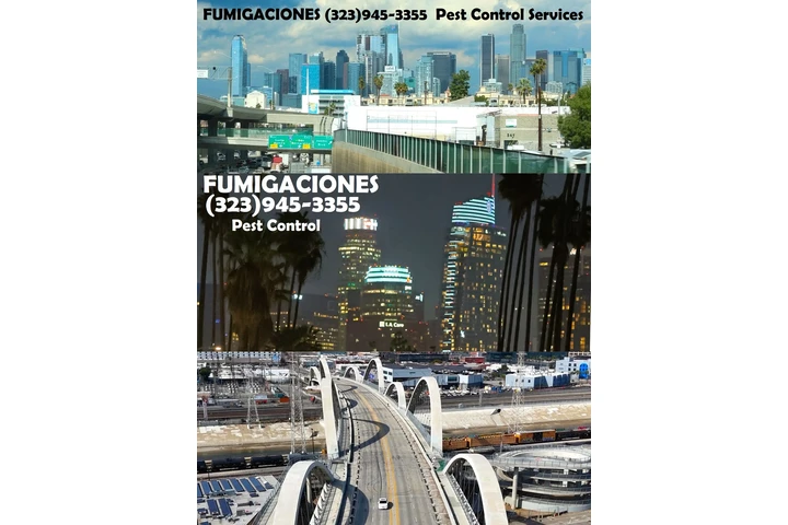 FUMIGADORES EXTERMINADORES 24H image 9