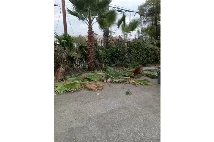 CANALEZ GARDENING SERVICES image 4