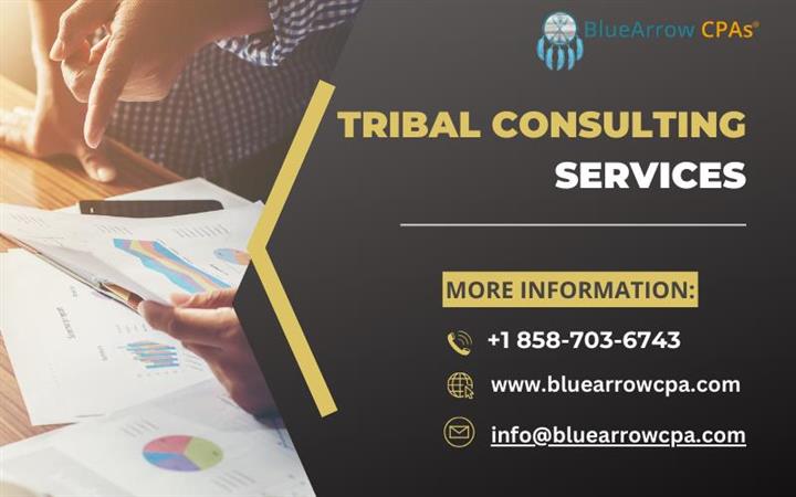 Tribal Consulting Services image 1